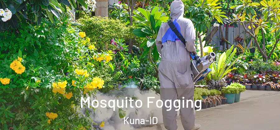  Mosquito Fogging Kuna-ID
