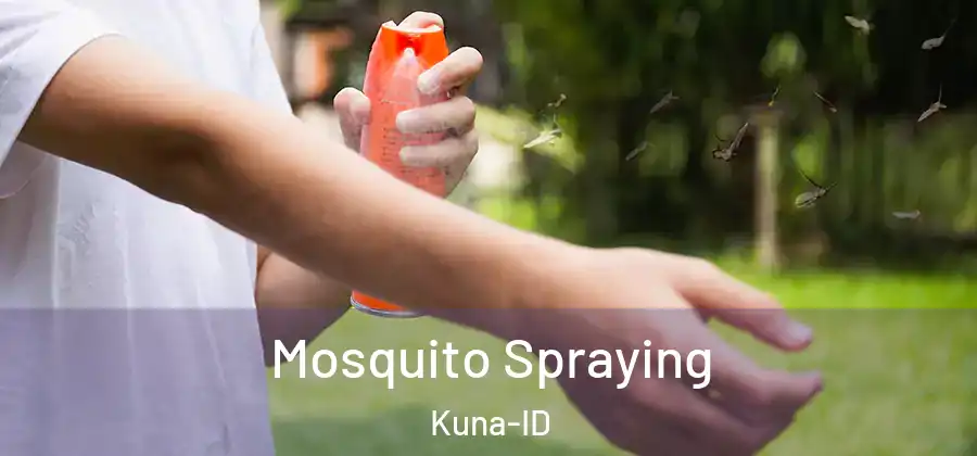 Mosquito Spraying Kuna-ID