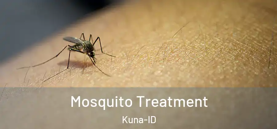  Mosquito Treatment Kuna-ID