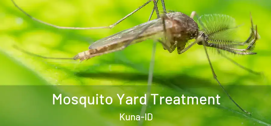  Mosquito Yard Treatment Kuna-ID
