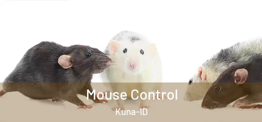 Mouse Control Kuna-ID