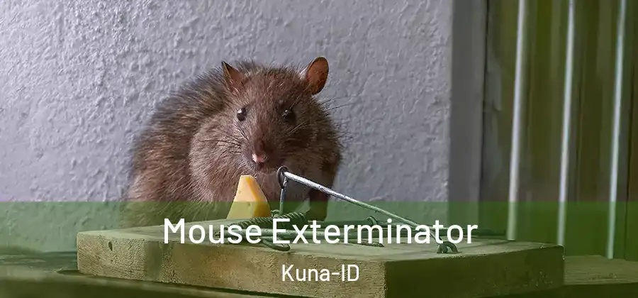  Mouse Exterminator Kuna-ID