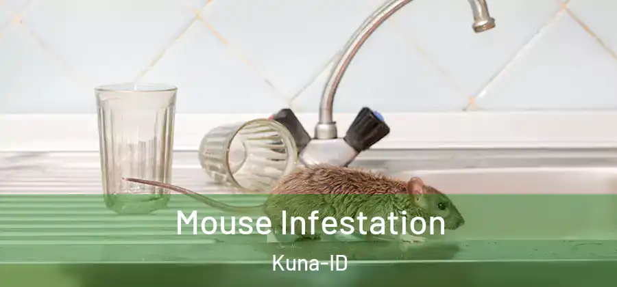 Mouse Infestation Kuna-ID
