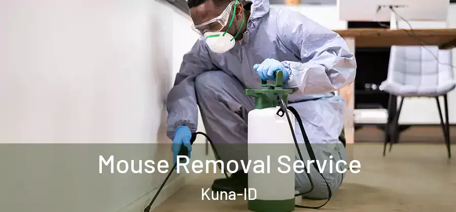  Mouse Removal Service Kuna-ID