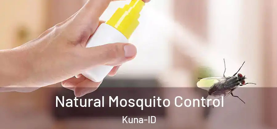  Natural Mosquito Control Kuna-ID