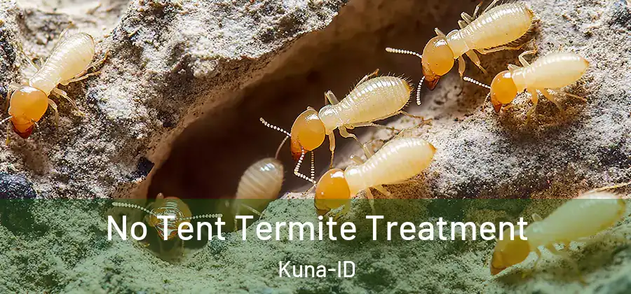  No Tent Termite Treatment Kuna-ID