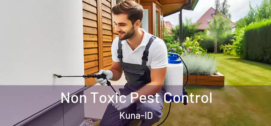 Non Toxic Pest Control Kuna-ID