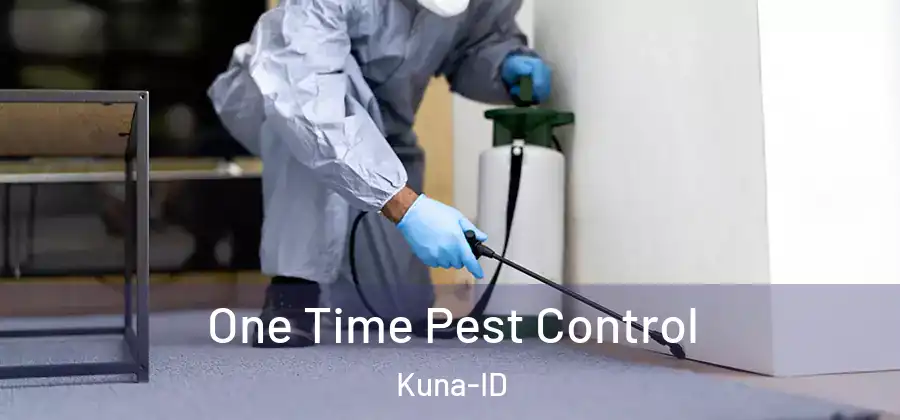  One Time Pest Control Kuna-ID