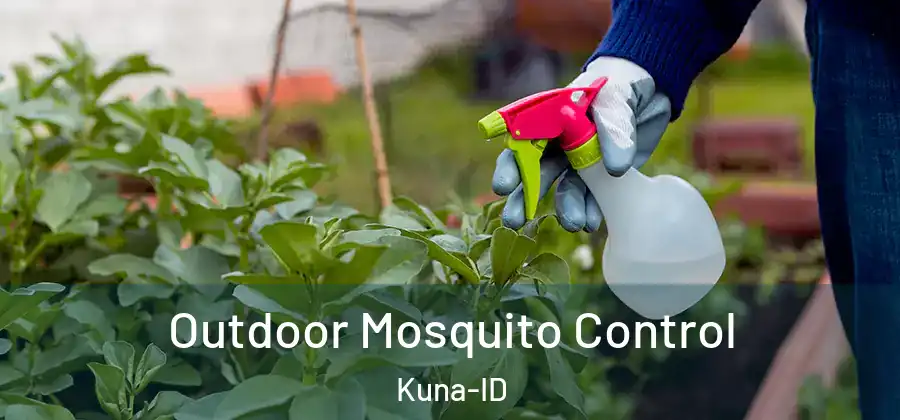 Outdoor Mosquito Control Kuna-ID