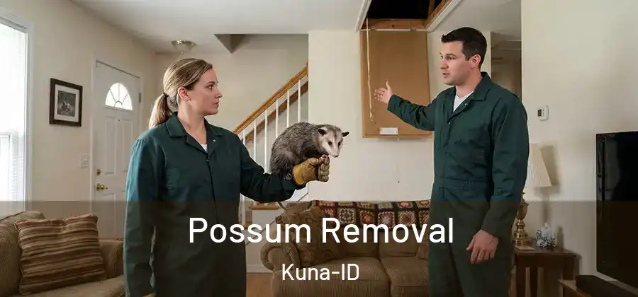  Possum Removal Kuna-ID