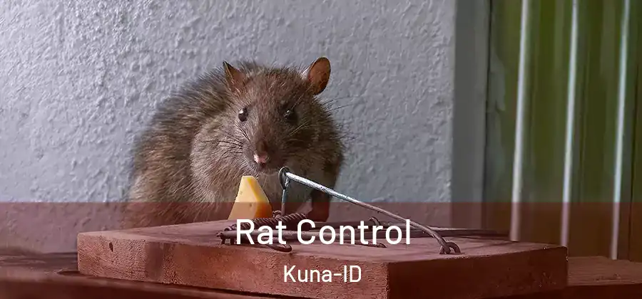 Rat Control Kuna-ID