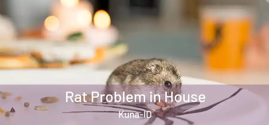  Rat Problem in House Kuna-ID