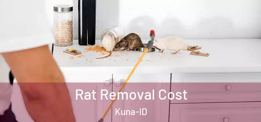  Rat Removal Cost Kuna-ID