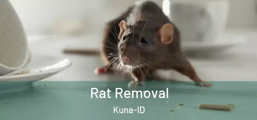 Rat Removal Kuna-ID