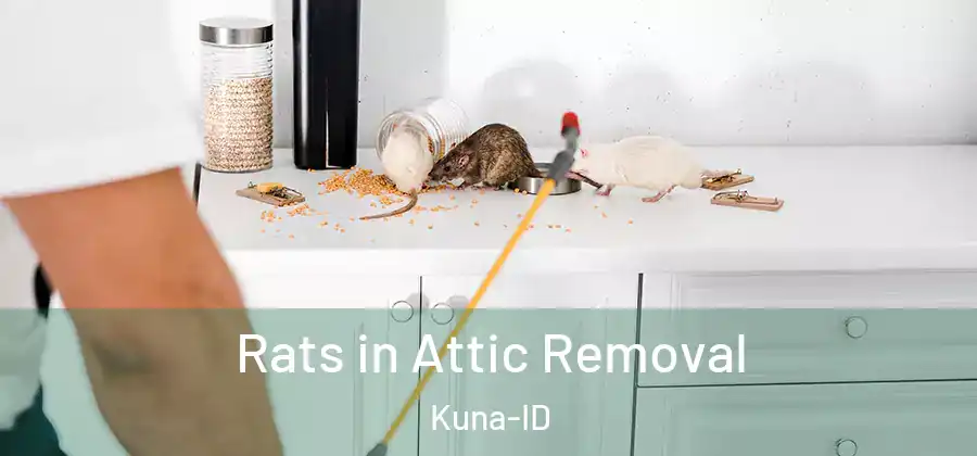  Rats in Attic Removal Kuna-ID