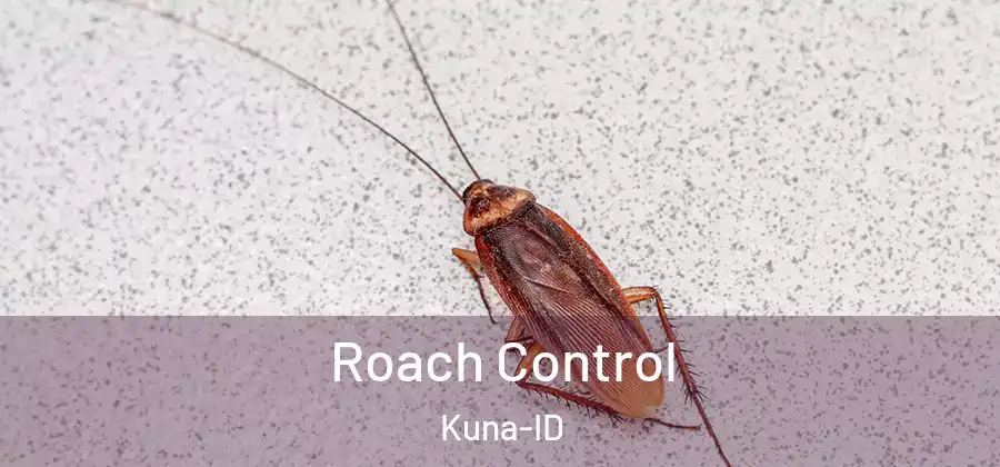  Roach Control Kuna-ID