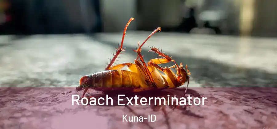 Roach Exterminator Kuna-ID