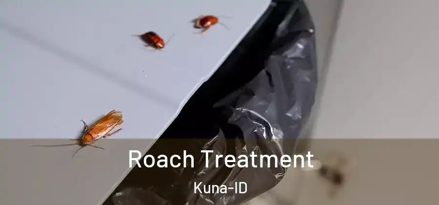 Roach Treatment Kuna-ID