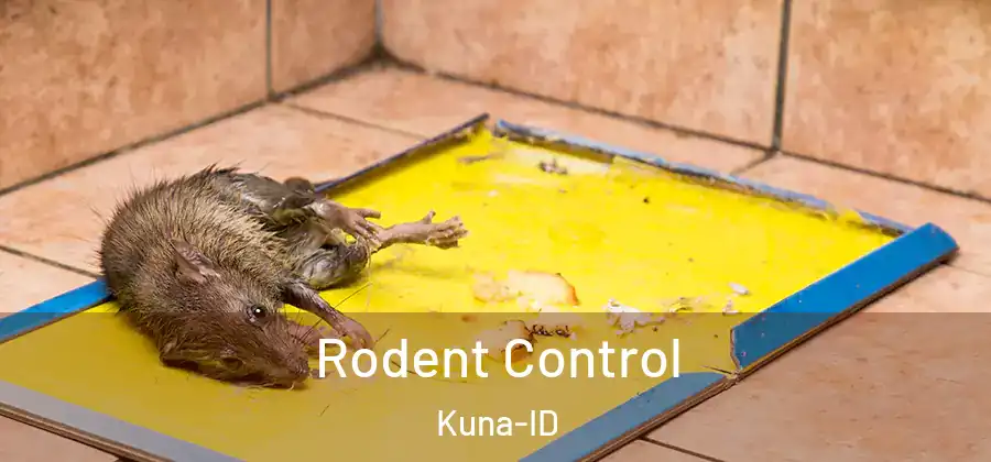 Rodent Control Kuna-ID