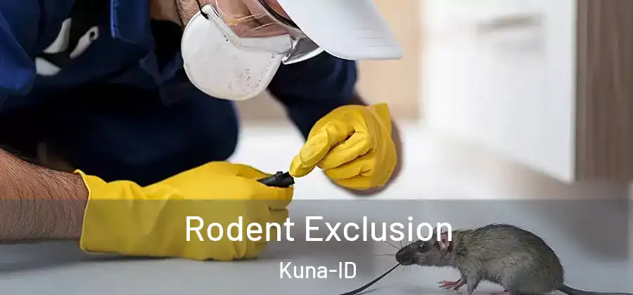  Rodent Exclusion Kuna-ID