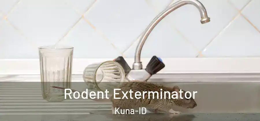 Rodent Exterminator Kuna-ID