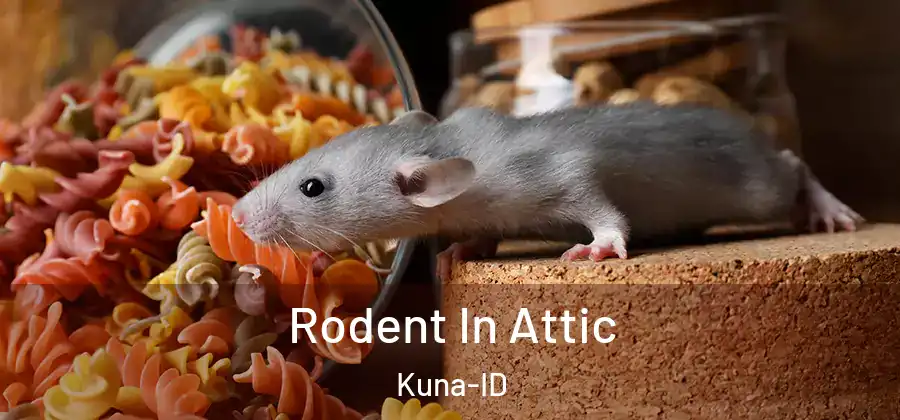  Rodent In Attic Kuna-ID