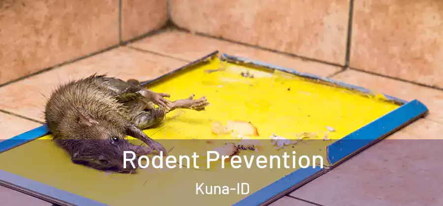 Rodent Prevention Kuna-ID