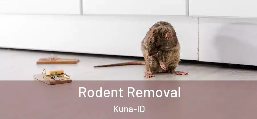 Rodent Removal Kuna-ID