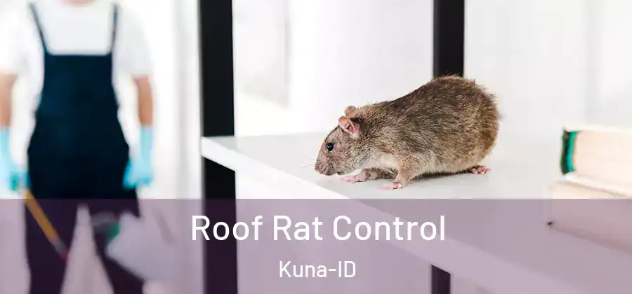  Roof Rat Control Kuna-ID