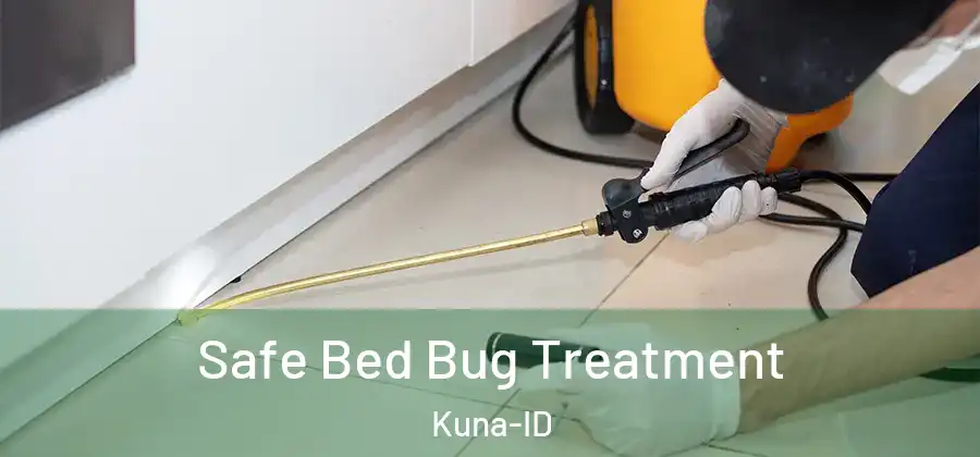 Safe Bed Bug Treatment Kuna-ID