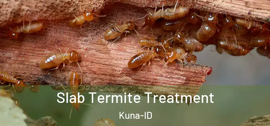 Slab Termite Treatment Kuna-ID