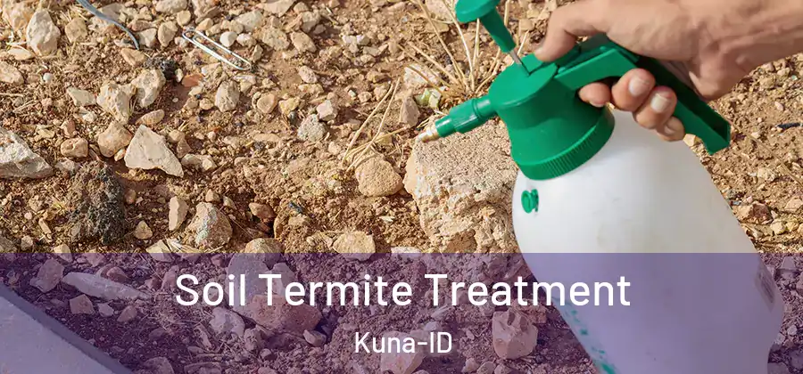 Soil Termite Treatment Kuna-ID