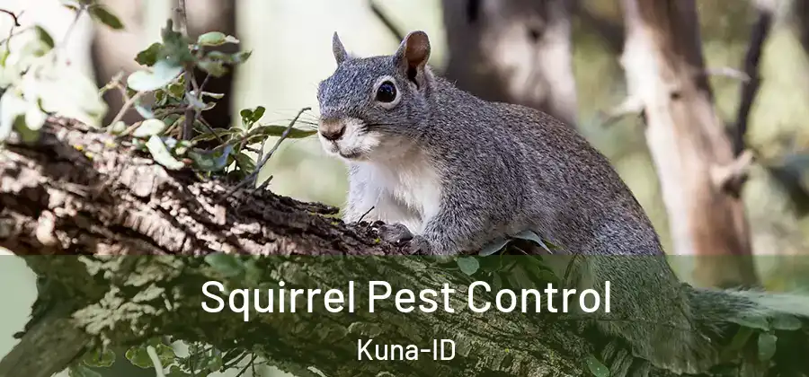 Squirrel Pest Control Kuna-ID