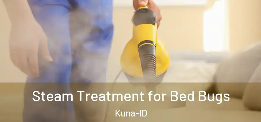 Steam Treatment for Bed Bugs Kuna-ID
