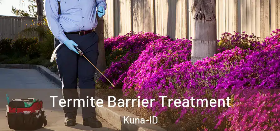  Termite Barrier Treatment Kuna-ID