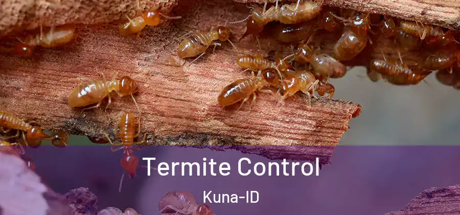 Termite Control Kuna-ID
