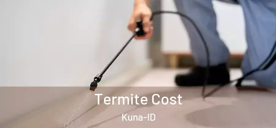  Termite Cost Kuna-ID