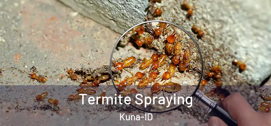 Termite Spraying Kuna-ID