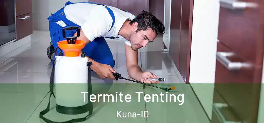 Termite Tenting Kuna-ID