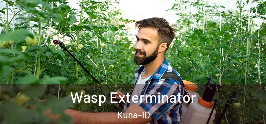 Wasp Exterminator Kuna-ID