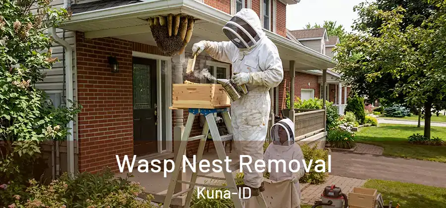  Wasp Nest Removal Kuna-ID