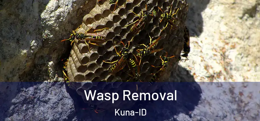  Wasp Removal Kuna-ID