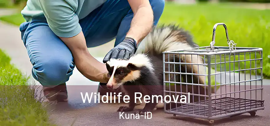  Wildlife Removal Kuna-ID