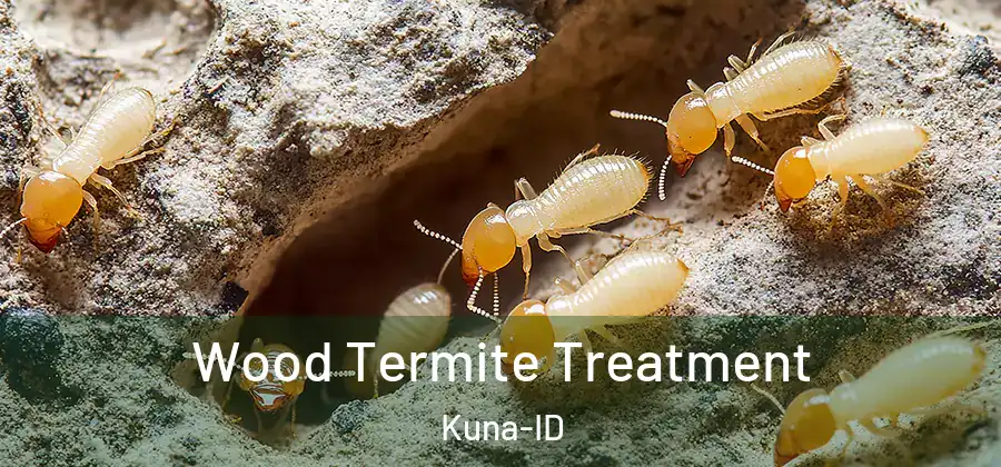  Wood Termite Treatment Kuna-ID