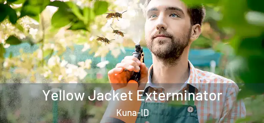  Yellow Jacket Exterminator Kuna-ID
